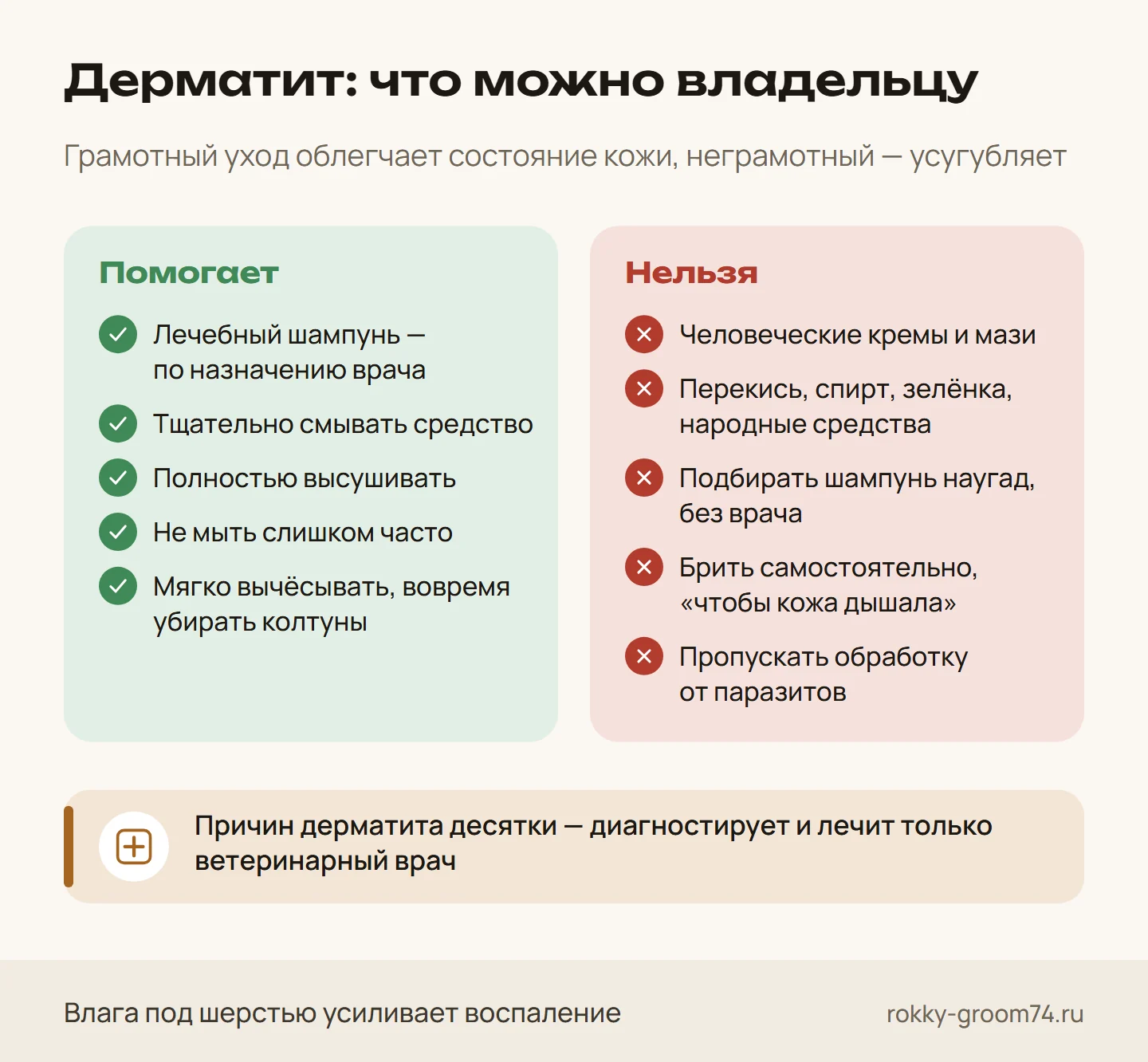 Инфографика: что помогает коже собаки при дерматите и чего делать нельзя — лечебный шампунь по назначению врача, промывание, сушка, без кремов и перекиси