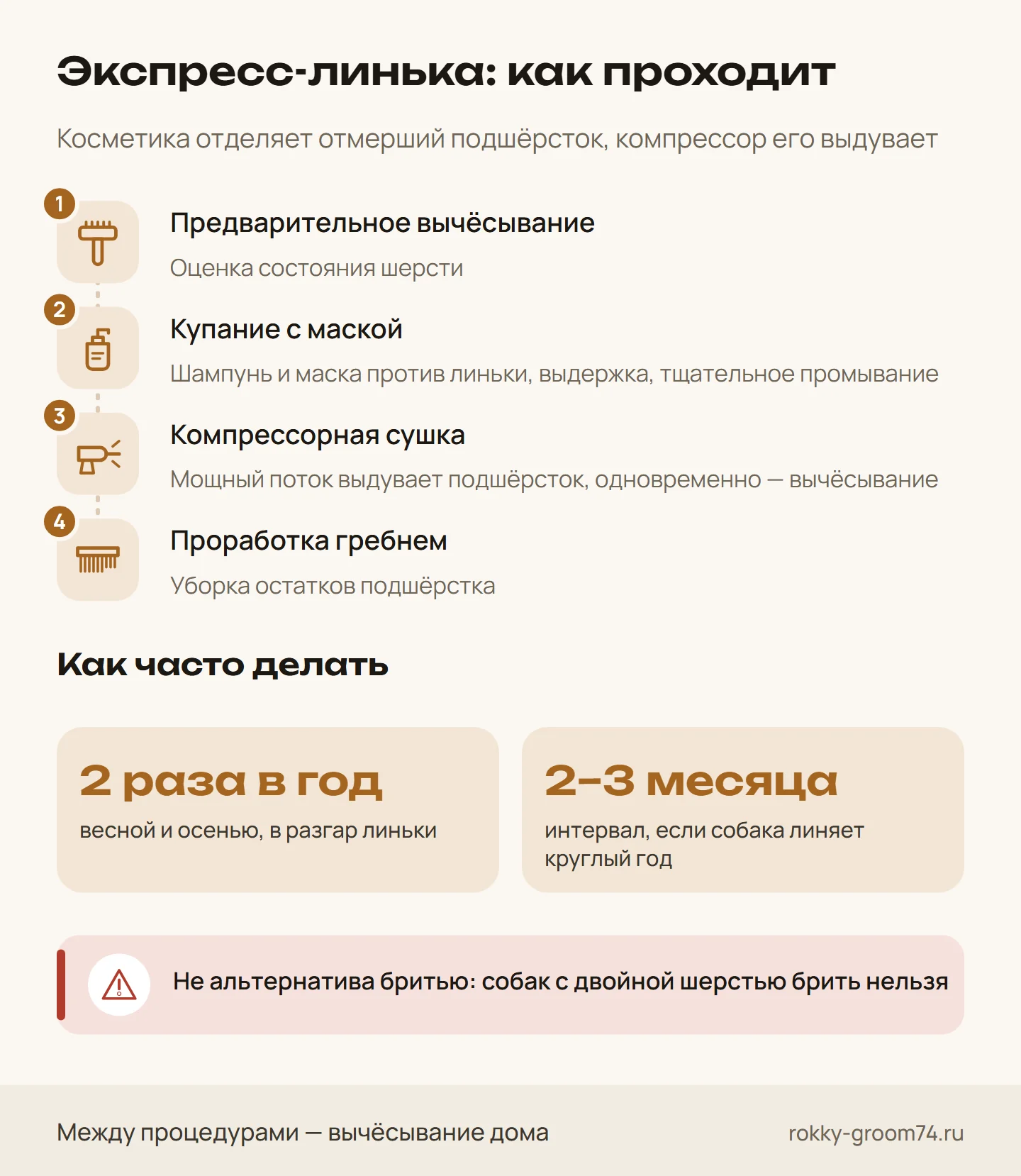Инфографика: этапы экспресс-линьки — от вычёсывания и купания с маской до компрессорной сушки — и как часто её делают