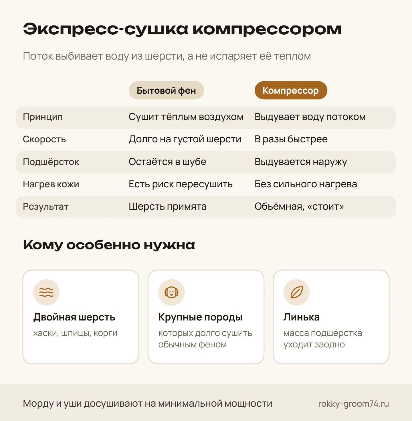 Инфографика: чем компрессор для сушки собак отличается от бытового фена и кому он особенно нужен — двойная шерсть, крупные породы, линька