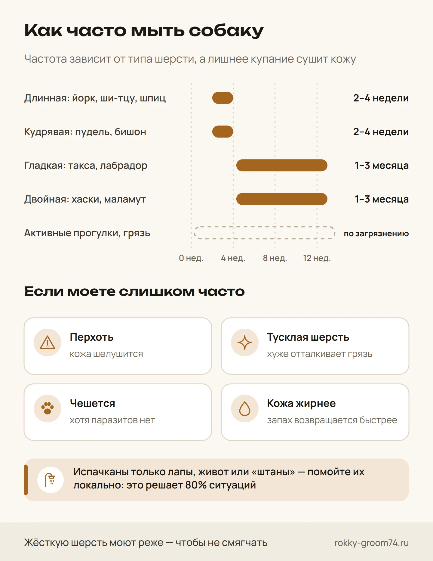 Инфографика: как часто мыть собаку с длинной, кудрявой, гладкой и двойной шерстью и признаки того, что собаку моют слишком часто