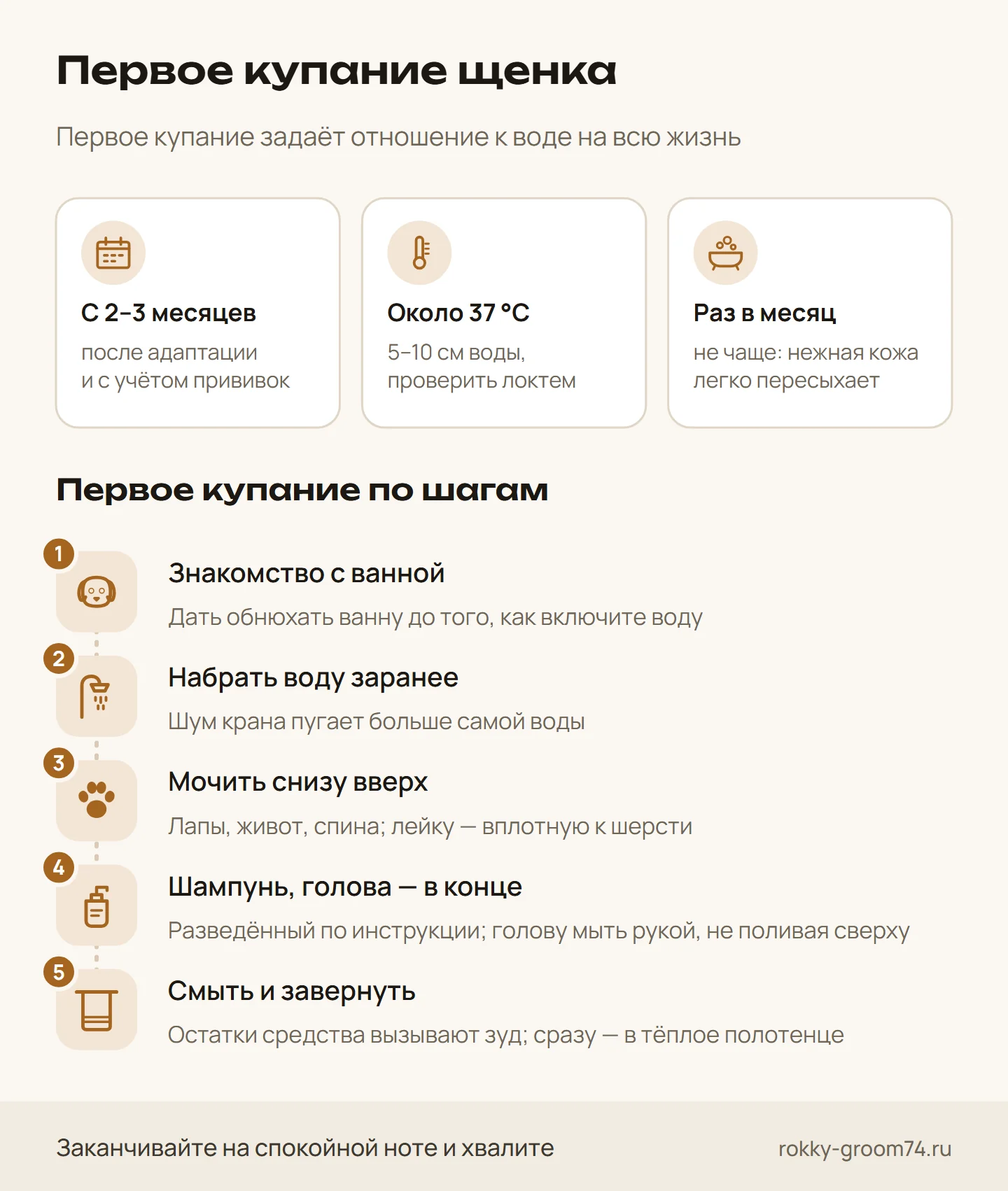 Инфографика: как мыть щенка первый раз — с какого возраста, сколько воды и какой температуры, как часто и пять шагов первого купания
