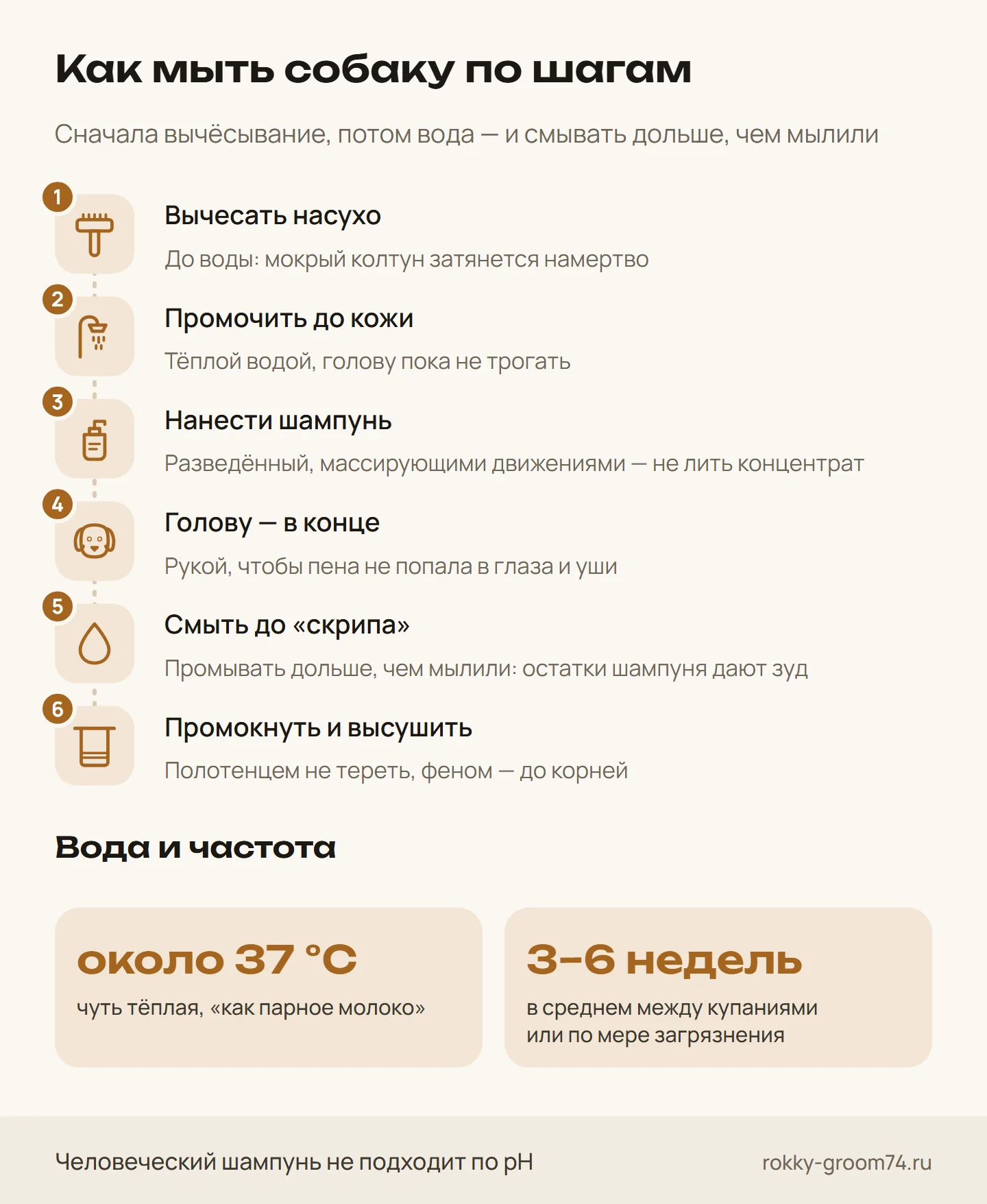 Инфографика: как мыть собаку дома по шагам — вычесать, промочить, нанести шампунь, смыть, высушить, — температура воды и частота купания