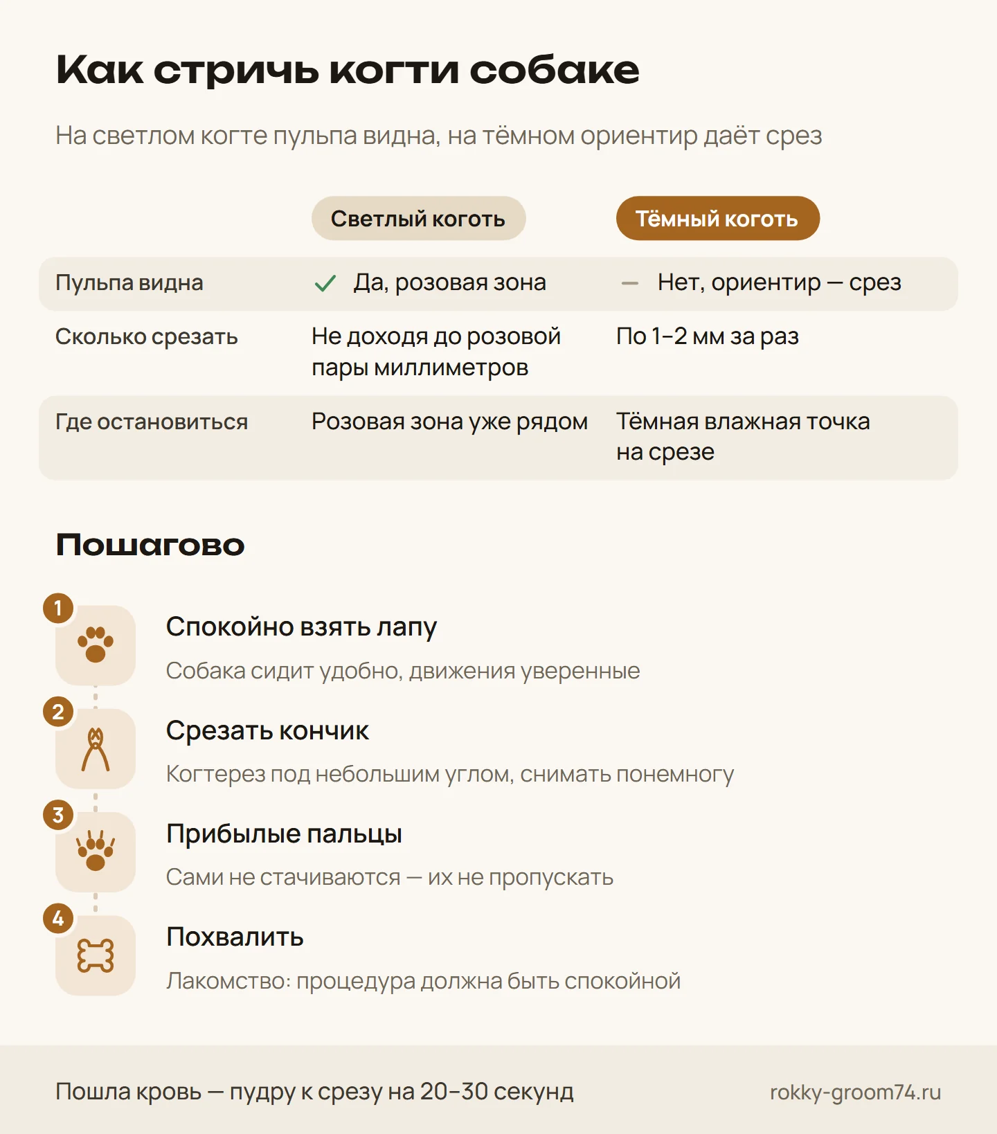 Инфографика: как стричь когти собаке — сколько срезать на светлых и тёмных когтях, где остановиться и четыре шага стрижки