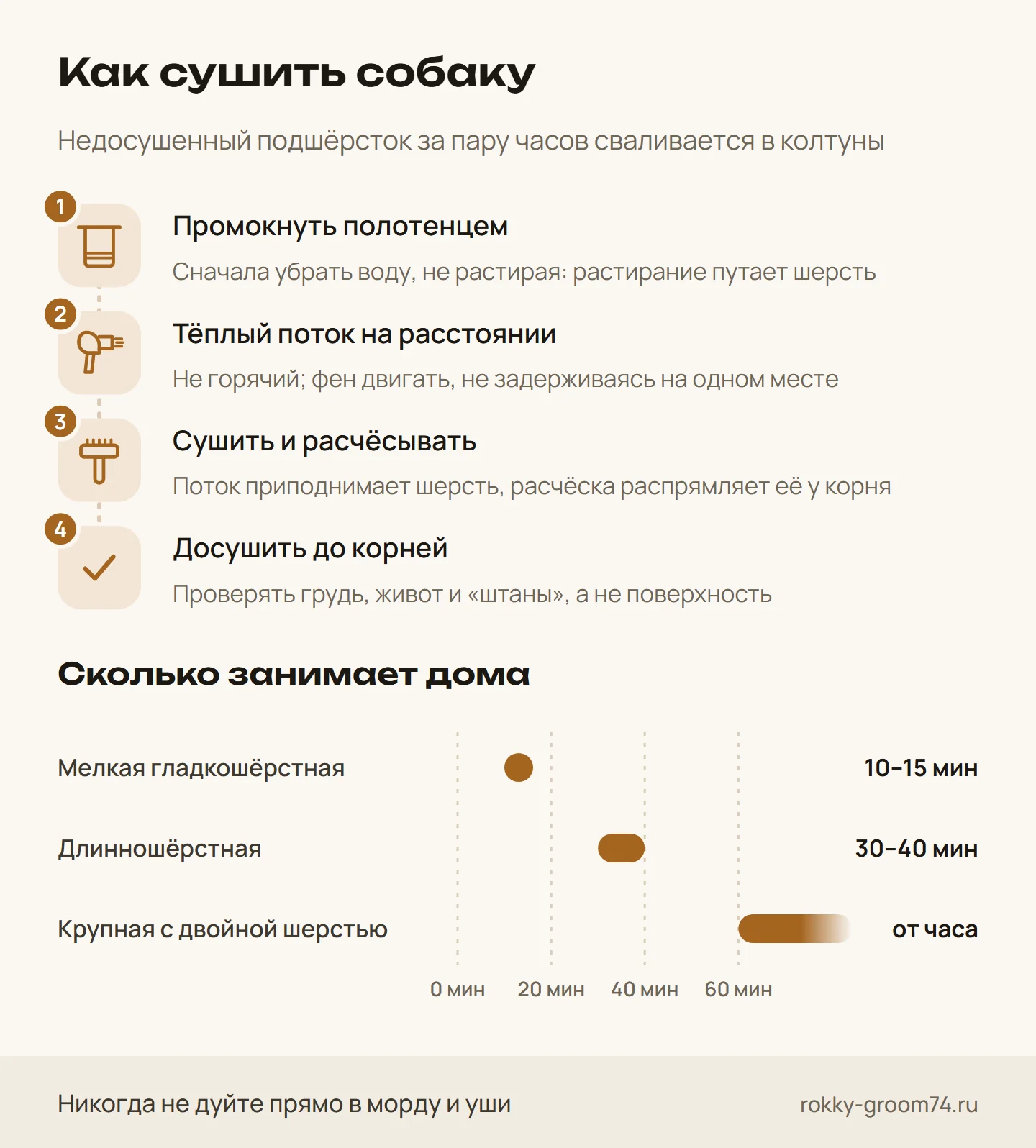 Инфографика: как сушить собаку после купания по шагам — полотенце, тёплый фен, расчёсывание, проверка корней — и сколько времени занимает сушка