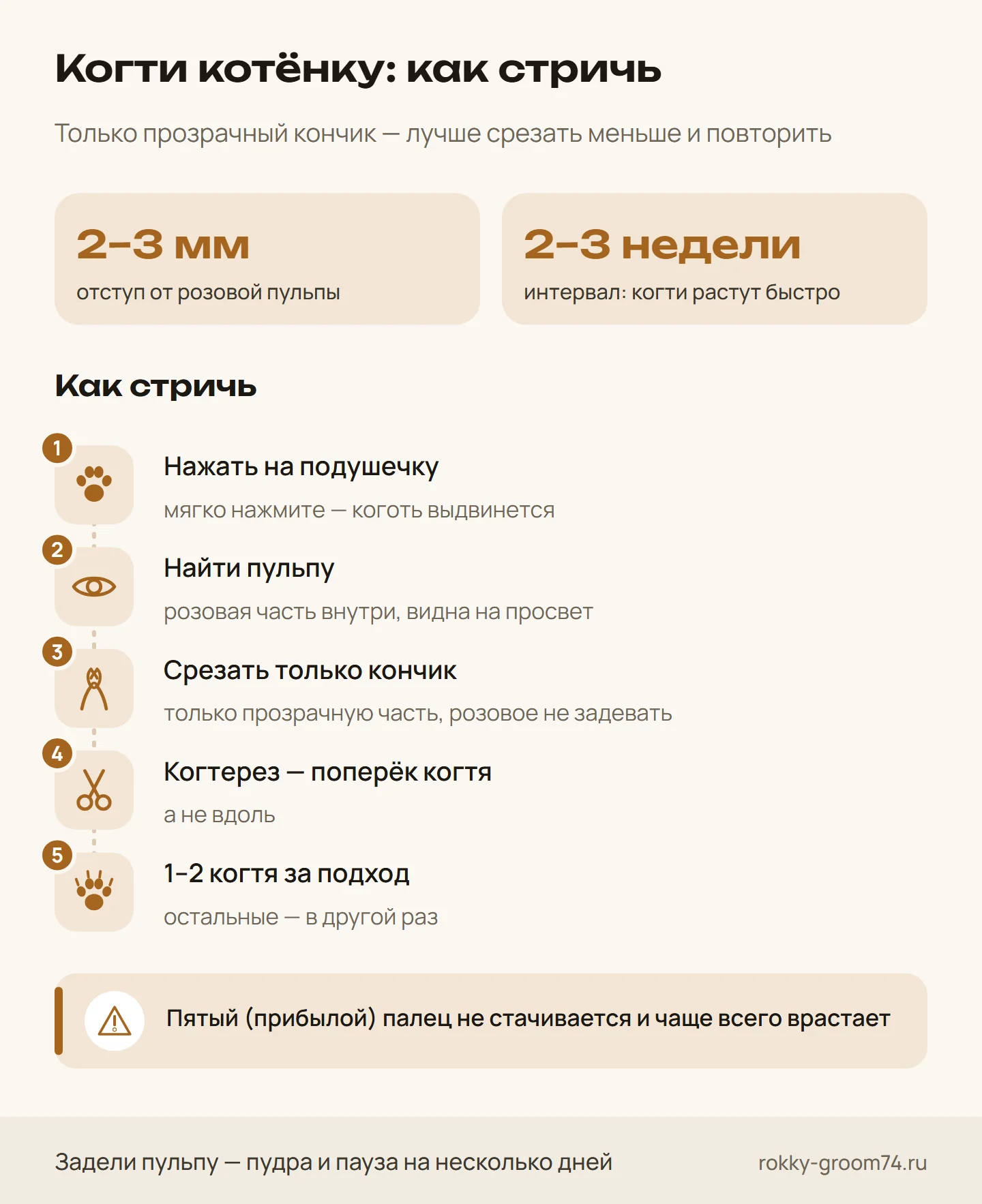 Инфографика: сколько срезать и как часто стричь когти котёнку, пять шагов правильной стрижки и почему важен пятый палец