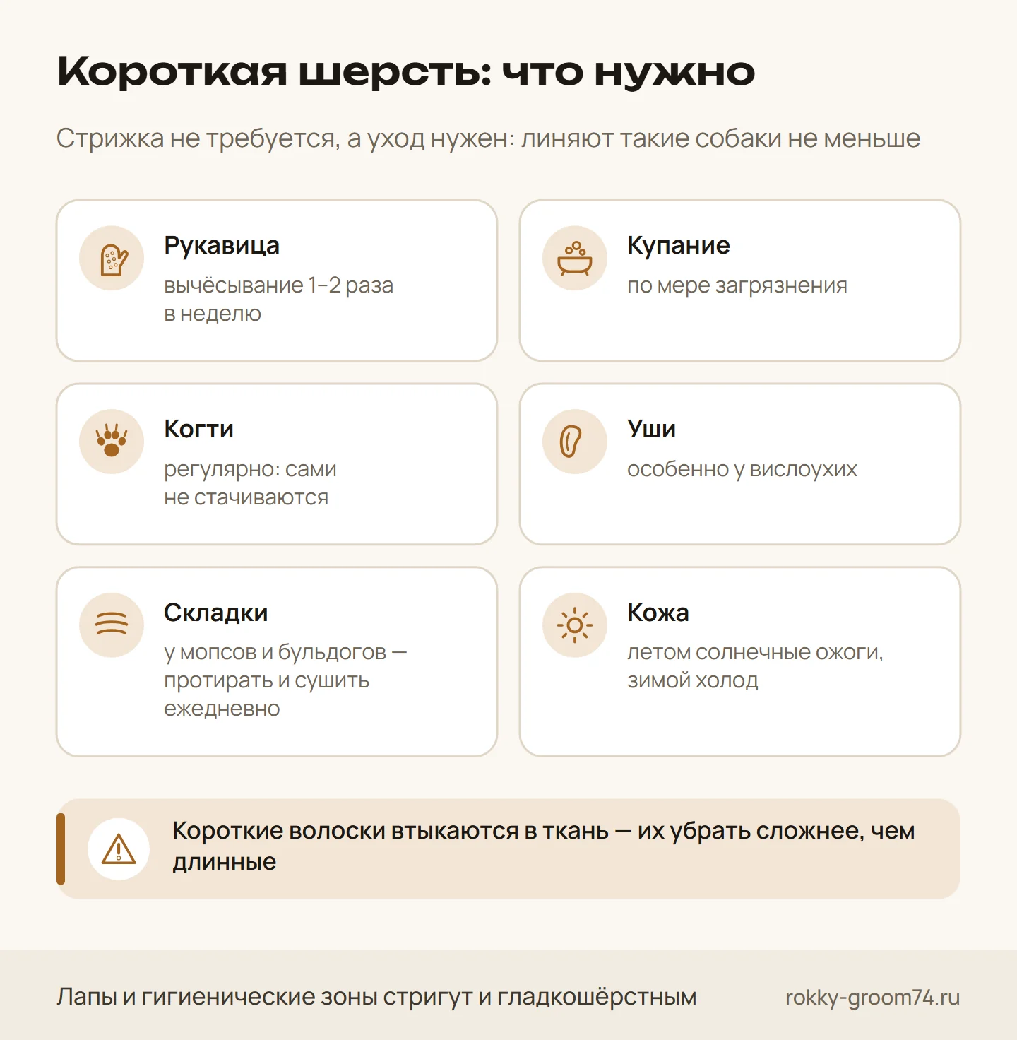 Инфографика: уход за короткой шерстью собаки — рукавица, купание, когти, уши, складки и защита кожи