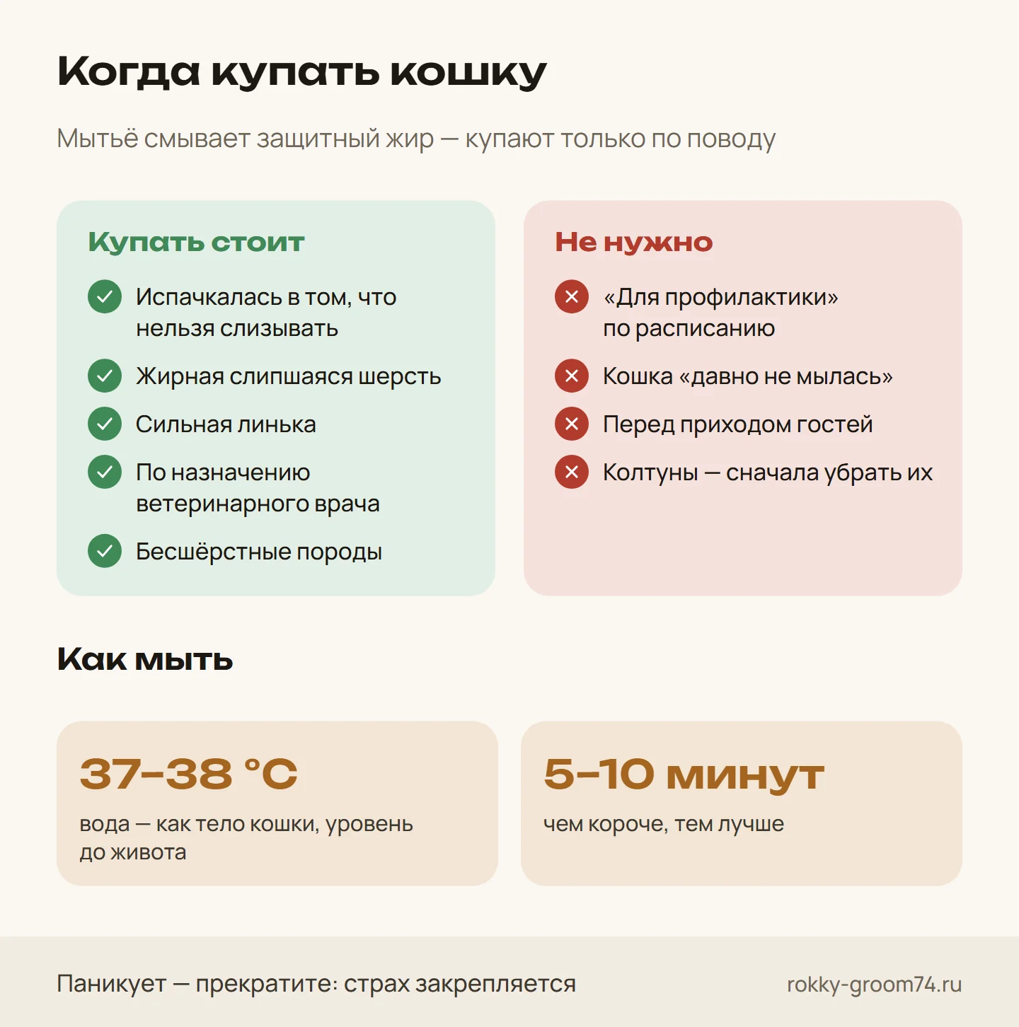 Инфографика: когда кошку действительно нужно купать, а когда не стоит, какая нужна вода и сколько длится купание