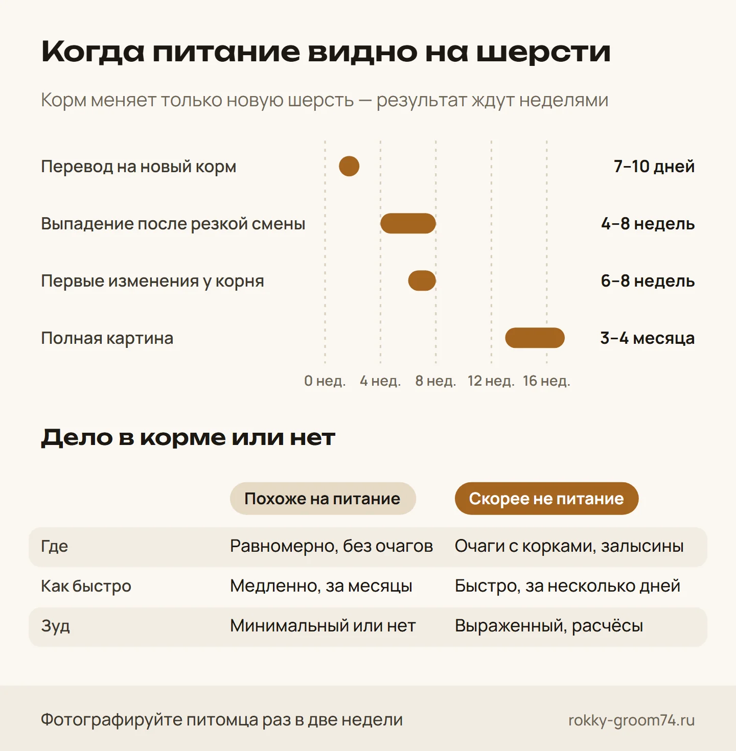 Инфографика: через сколько недель смена корма отражается на шерсти собаки и как отличить проблему с питанием от проблемы со здоровьем