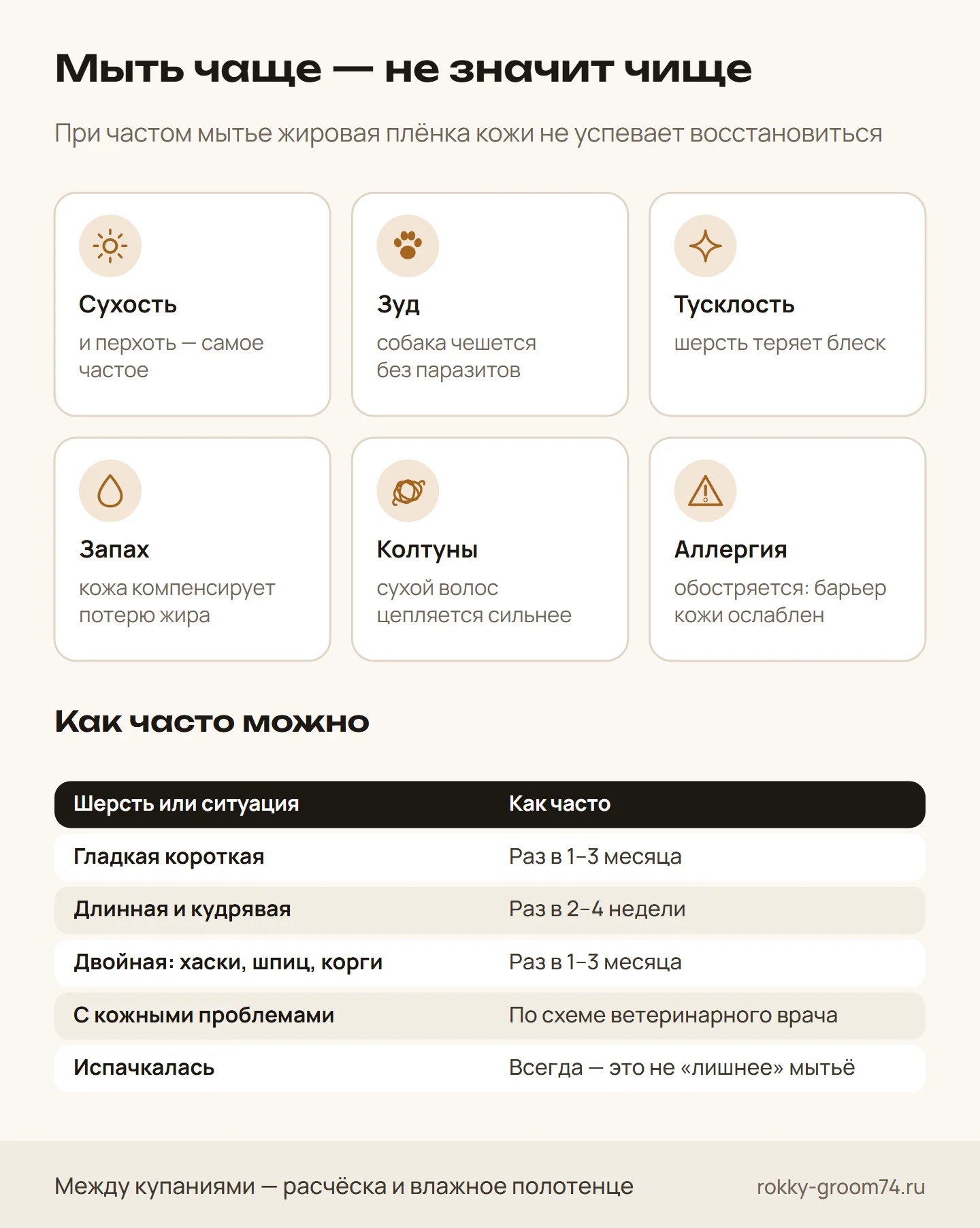 Инфографика: чем грозит слишком частое мытьё собаки — сухость, зуд, запах, колтуны — и как часто можно мыть при разной шерсти