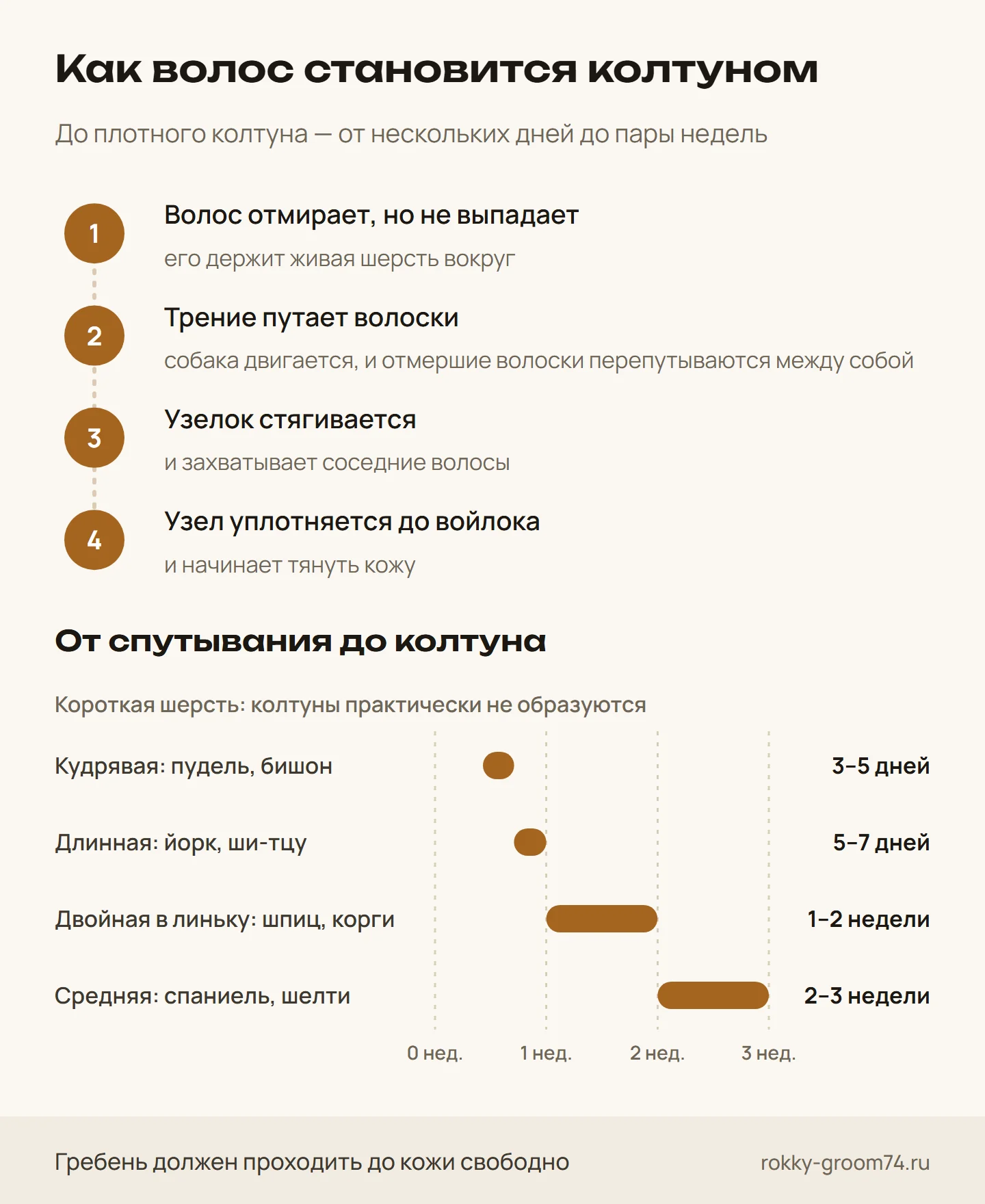 Инфографика: как отмерший волос превращается в колтун за четыре шага и сколько дней проходит от спутывания до войлока у разных типов шерсти
