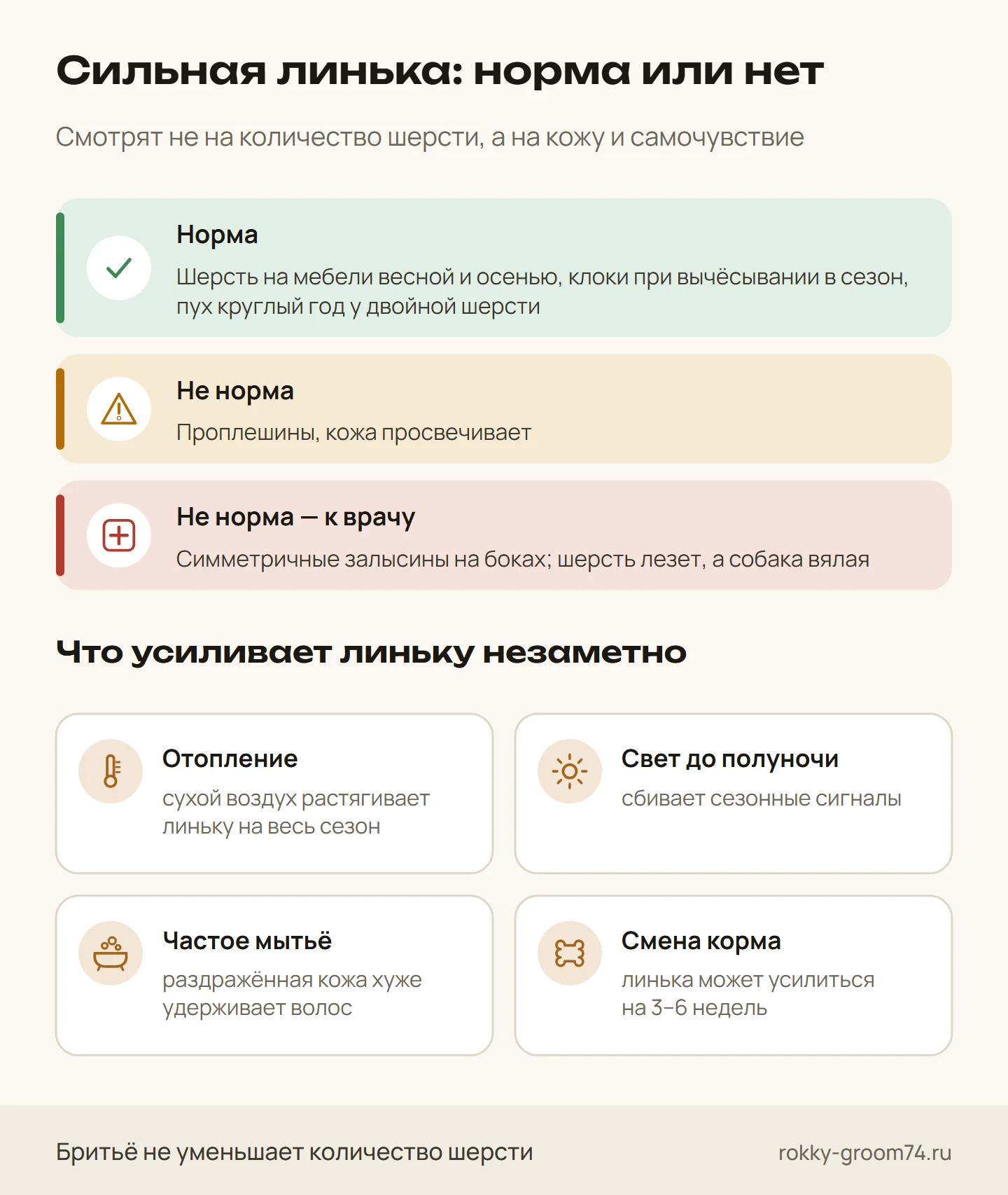 Инфографика: когда обильная линька собаки — норма, а когда повод к ветеринарному врачу, и что незаметно усиливает выпадение шерсти