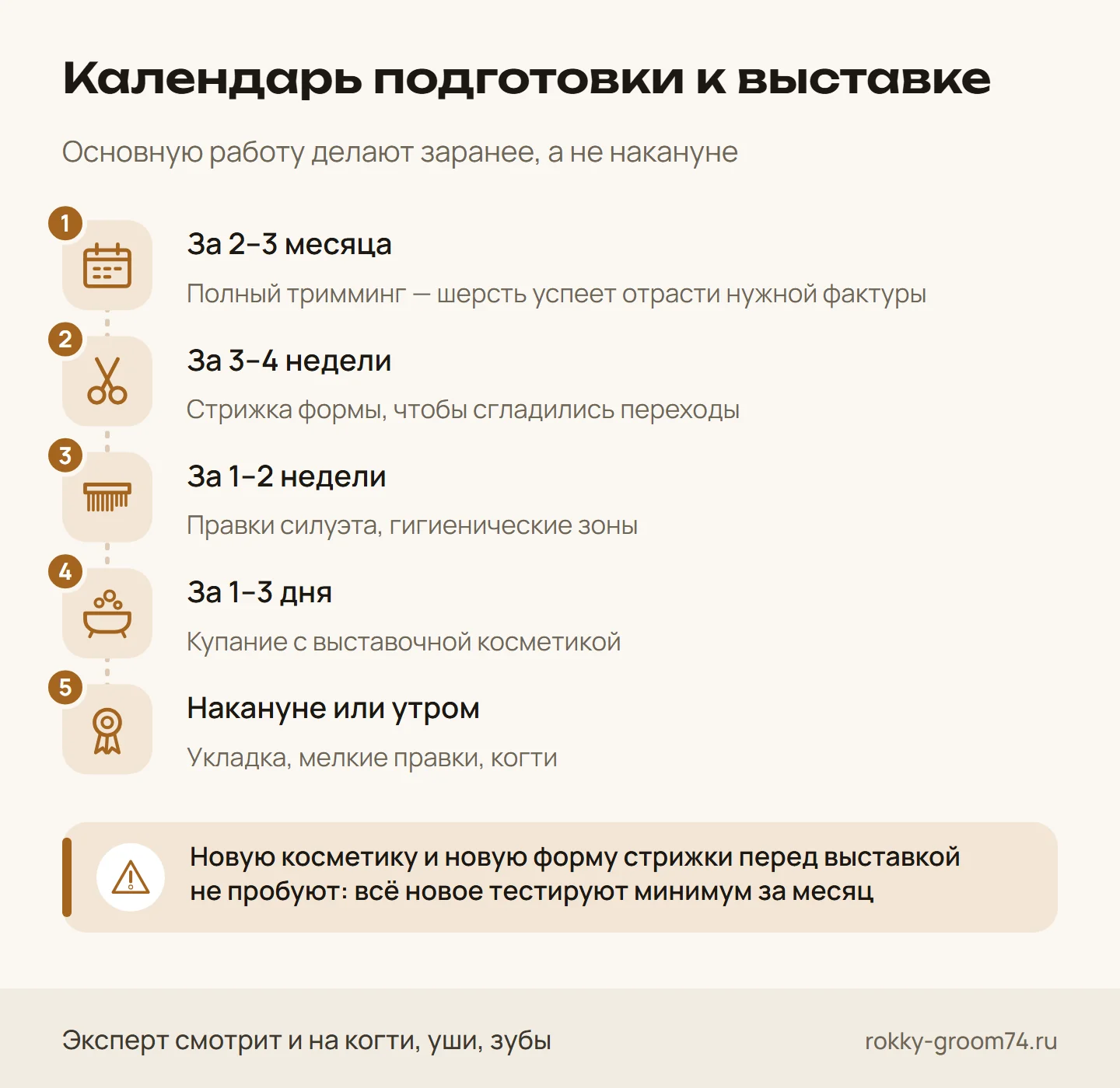 Инфографика: календарь подготовки собаки к выставке — тримминг за 2–3 месяца, стрижка формы, правки, купание за 1–3 дня и укладка накануне