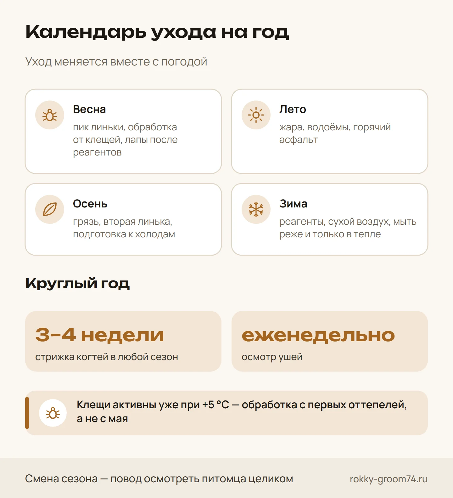 Инфографика: календарь ухода за питомцем — главные задачи весной, летом, осенью и зимой и что делать круглый год: когти, уши, клещи
