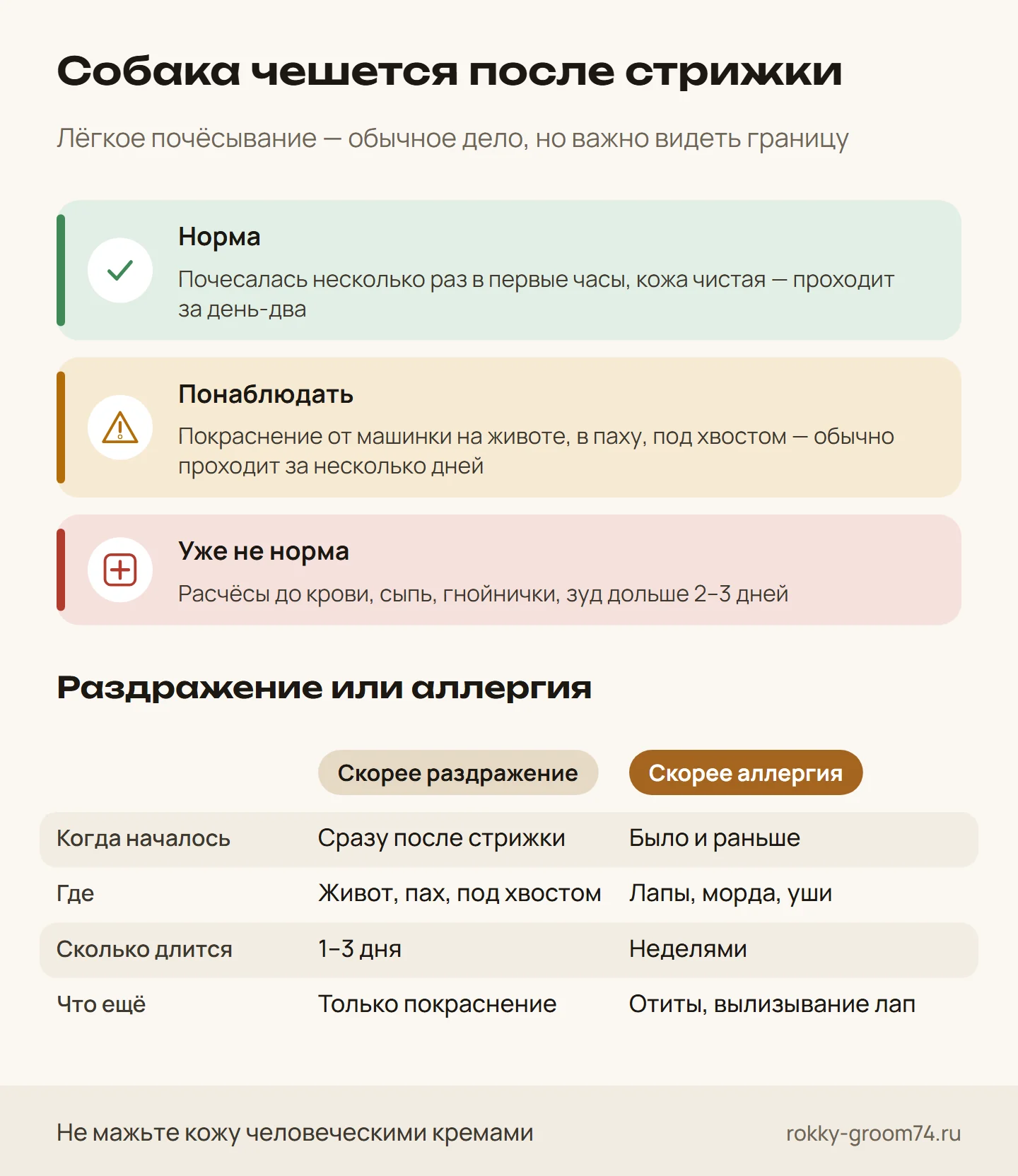 Инфографика: когда почёсывание собаки после стрижки — норма, когда стоит понаблюдать, а когда это уже не норма, и как отличить раздражение от аллергии