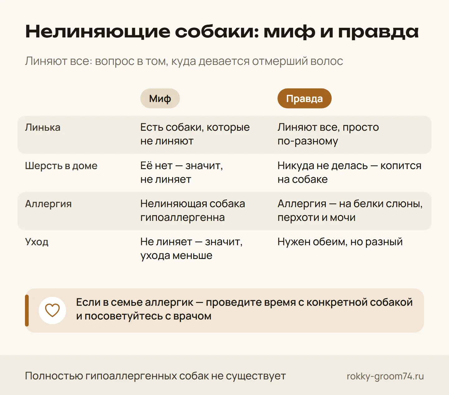 Инфографика: мифы о нелиняющих собаках — куда девается шерсть, правда ли такие собаки гипоаллергенны и нужен ли им уход