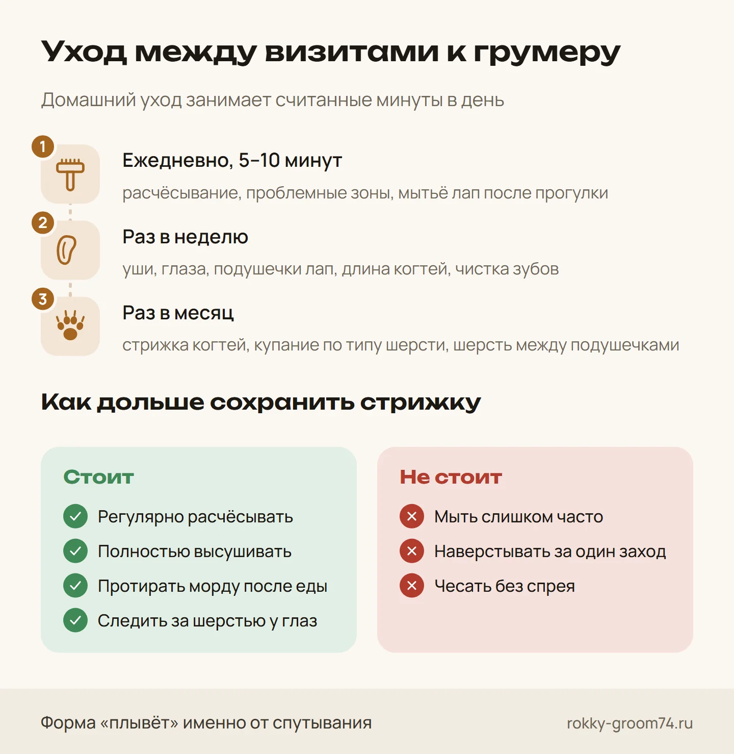 Инфографика: чек-лист домашнего ухода за собакой между визитами к грумеру — что делать ежедневно, раз в неделю и раз в месяц и как дольше сохранить стрижку