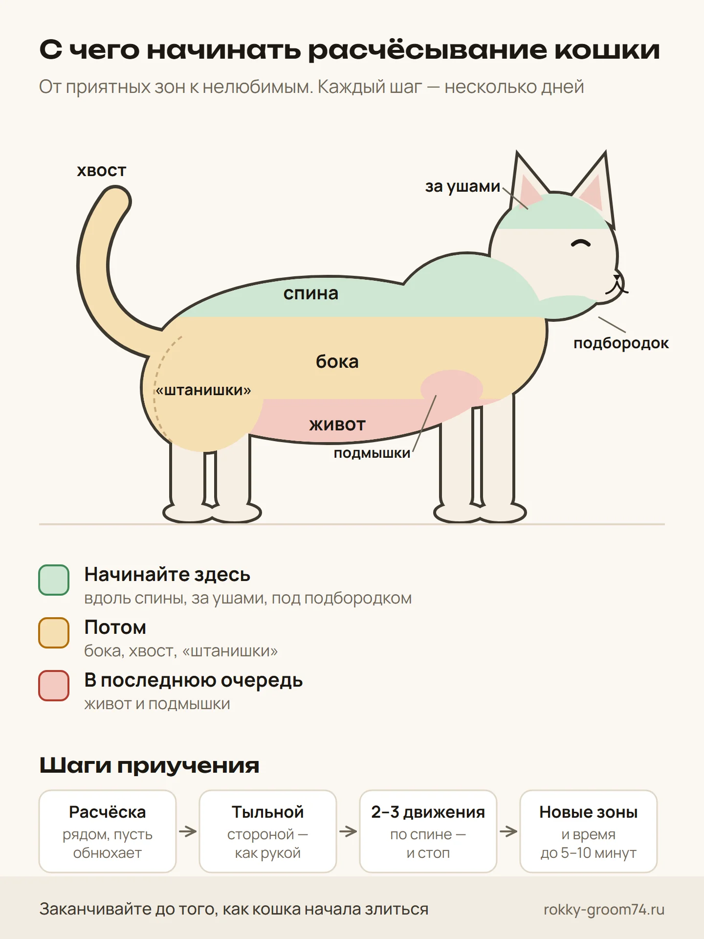 Схема: с каких зон начинать расчёсывание кошки и шаги приучения к расчёске