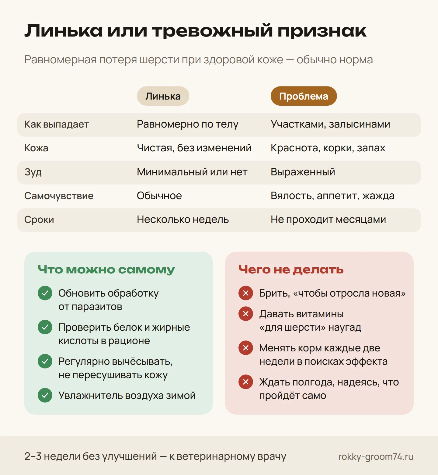 Инфографика: как отличить линьку от выпадения шерсти из-за проблемы со здоровьем, что можно сделать самому и чего делать не стоит