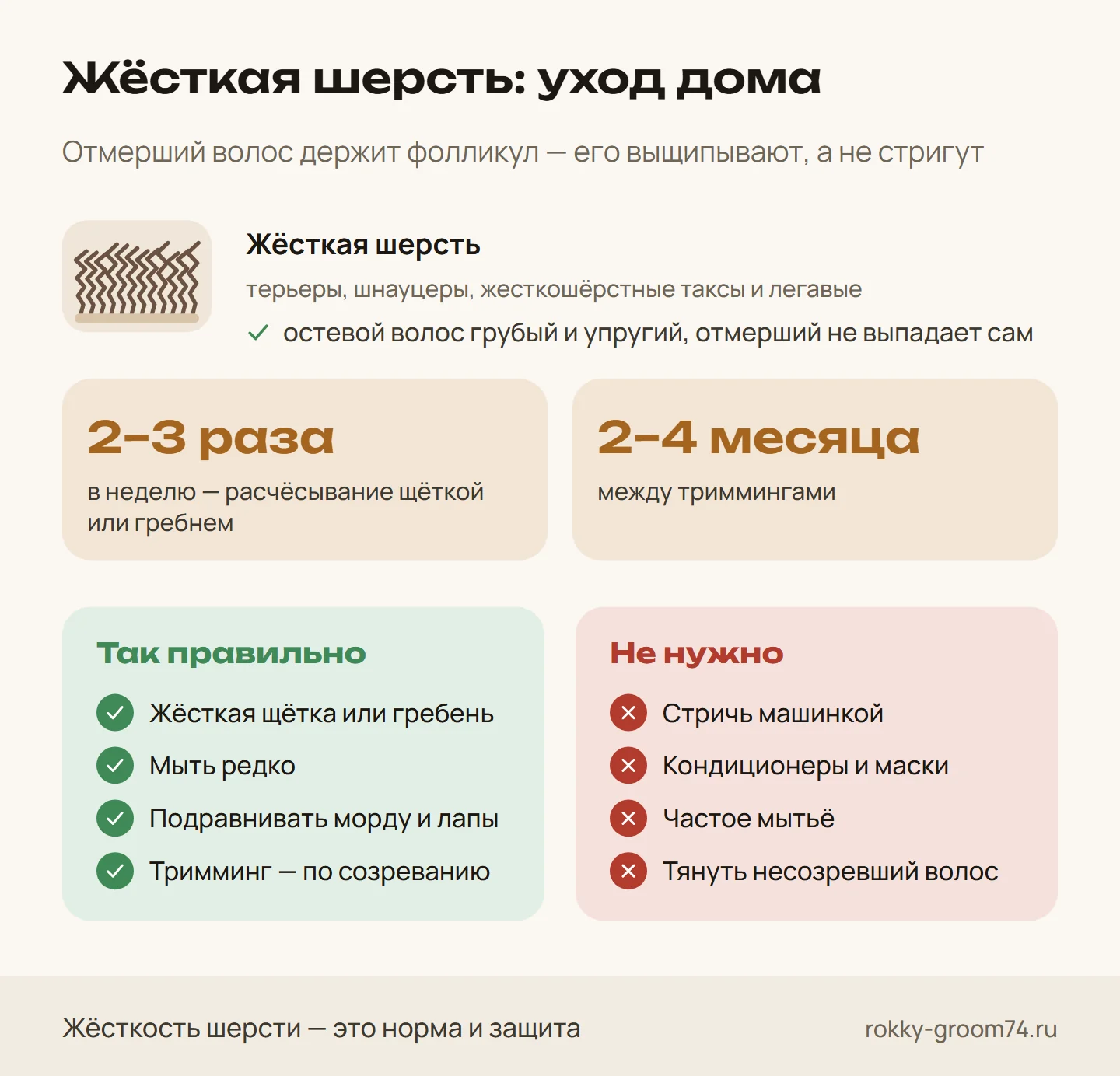 Инфографика: уход за жёсткой шерстью собаки — терьеры, шнауцеры — как часто расчёсывать и триммингировать и чего жесткошёрстным делать не нужно
