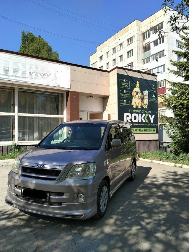 Зоотакси ROKKY — бережная перевозка питомца в переноске