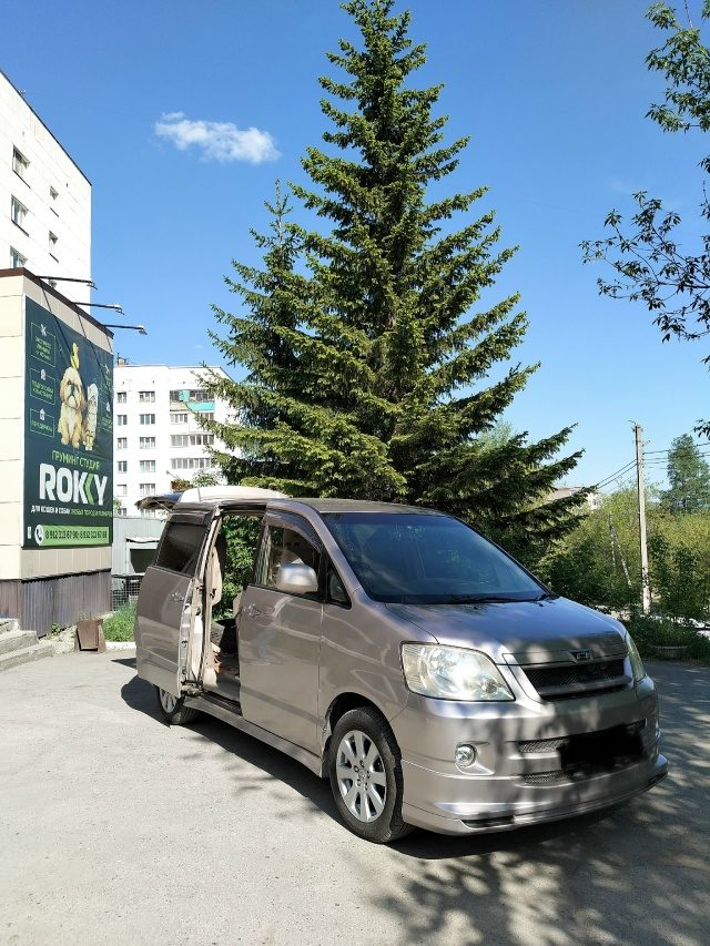 Зоотакси ROKKY — забираем питомца из дома, Златоуст